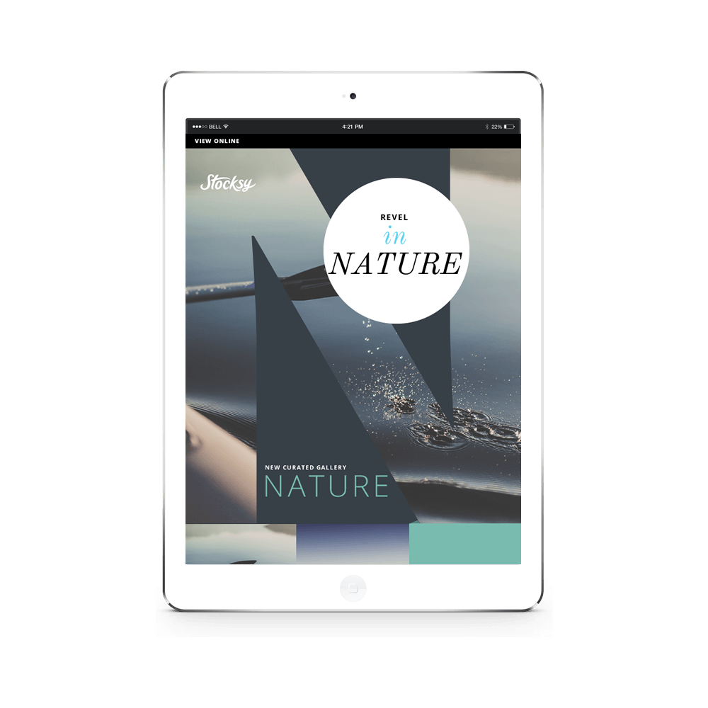 Nature Newsletter Template Concept